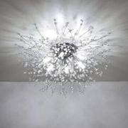 Lamps & Lights